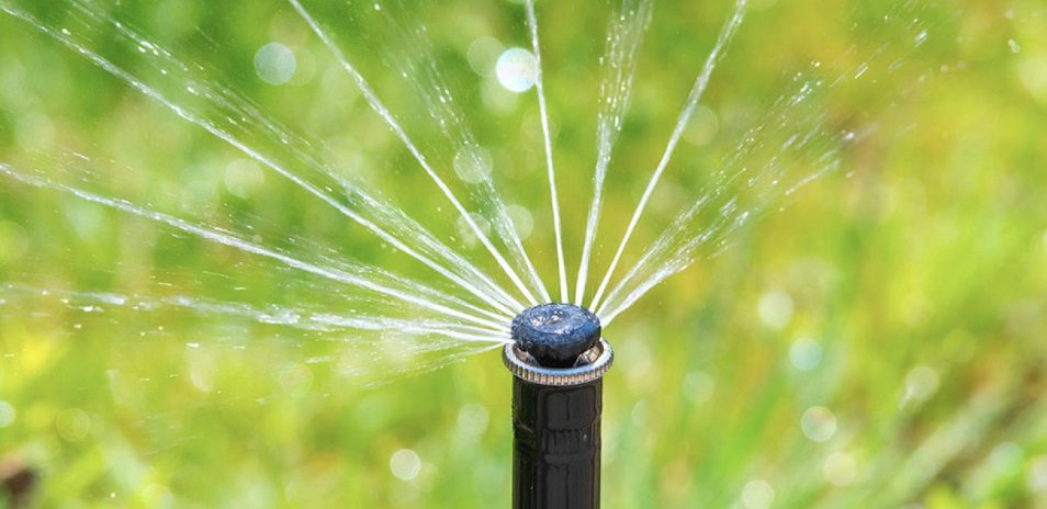 High-efficiency rotary sprinkler head watering a lawn