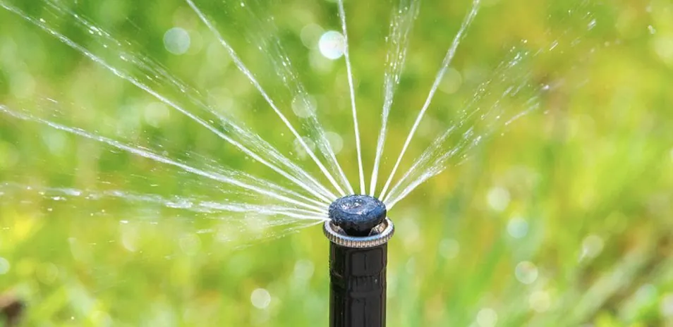 High-efficiency rotary sprinkler head watering a lawn in Spokane